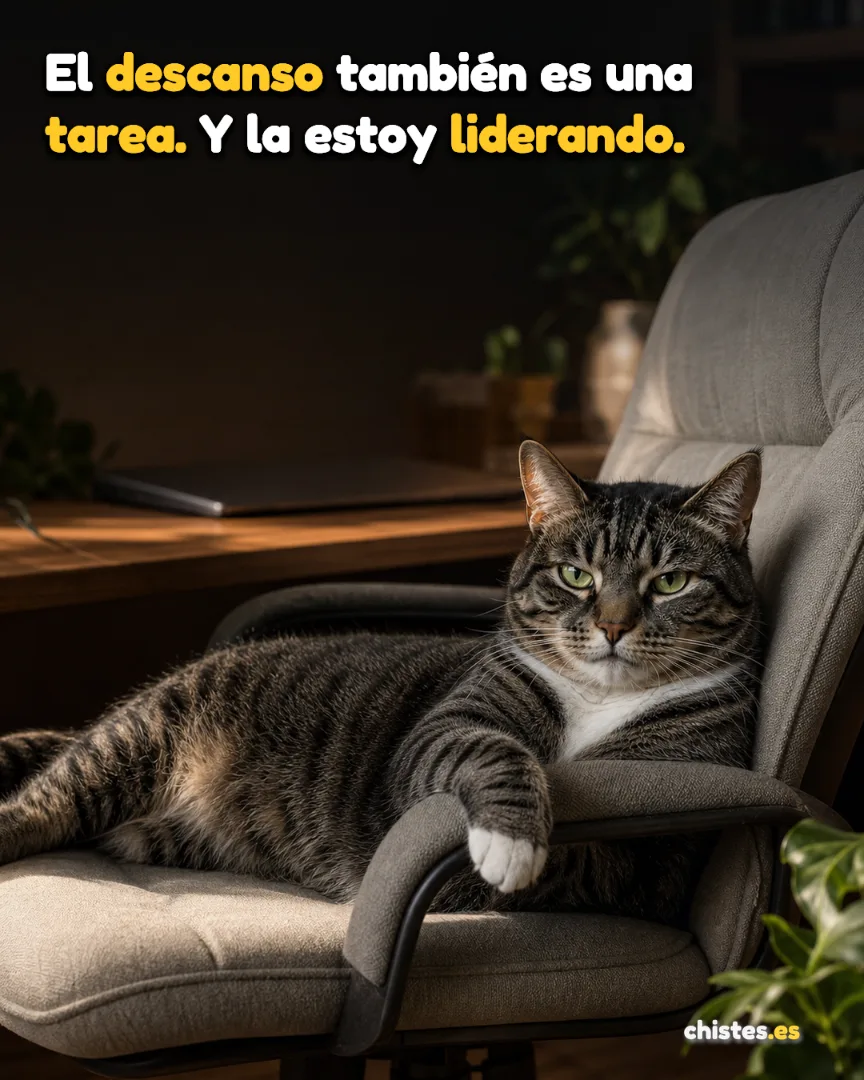 El descanso también es una tarea. Y la estoy liderando.