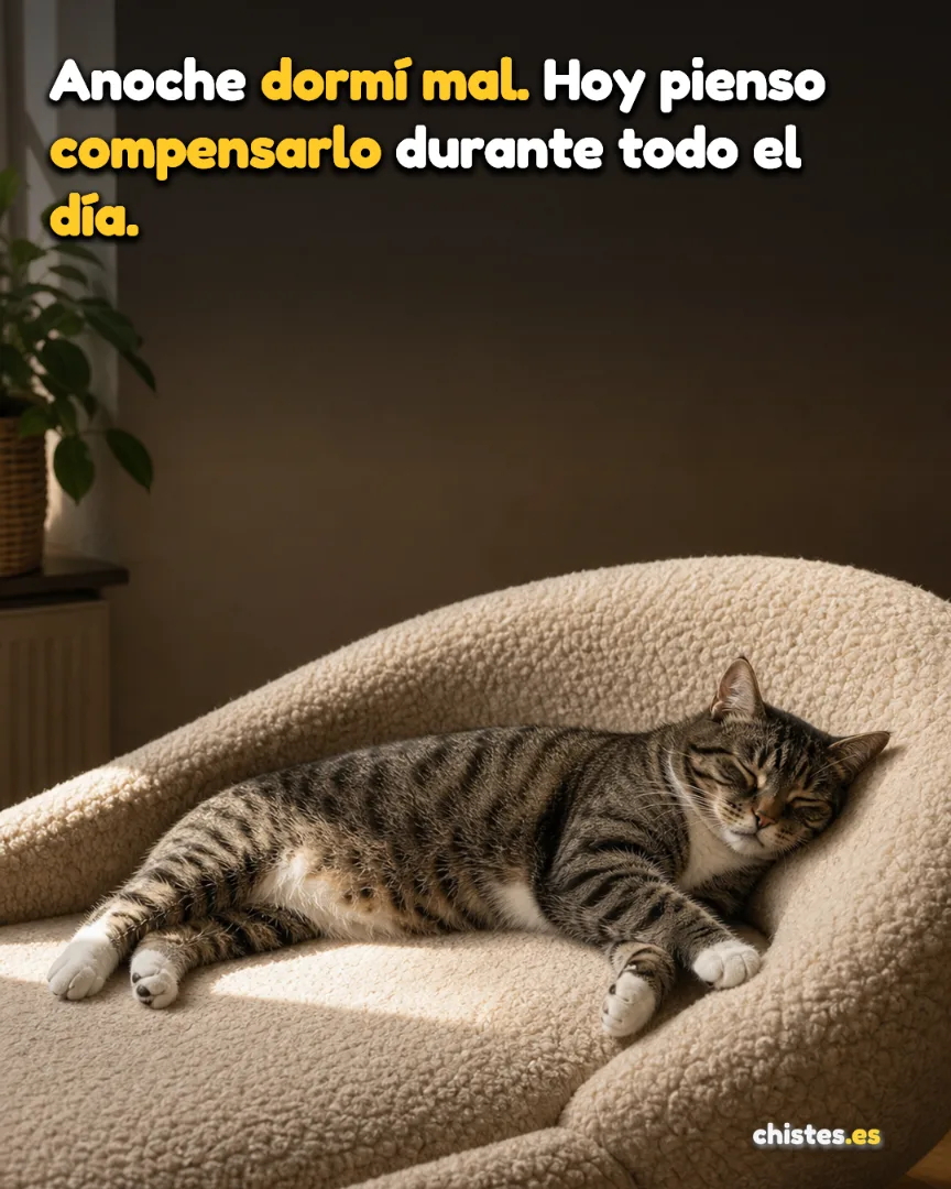 Anoche dormí mal. Hoy pienso compensarlo durante todo el día.