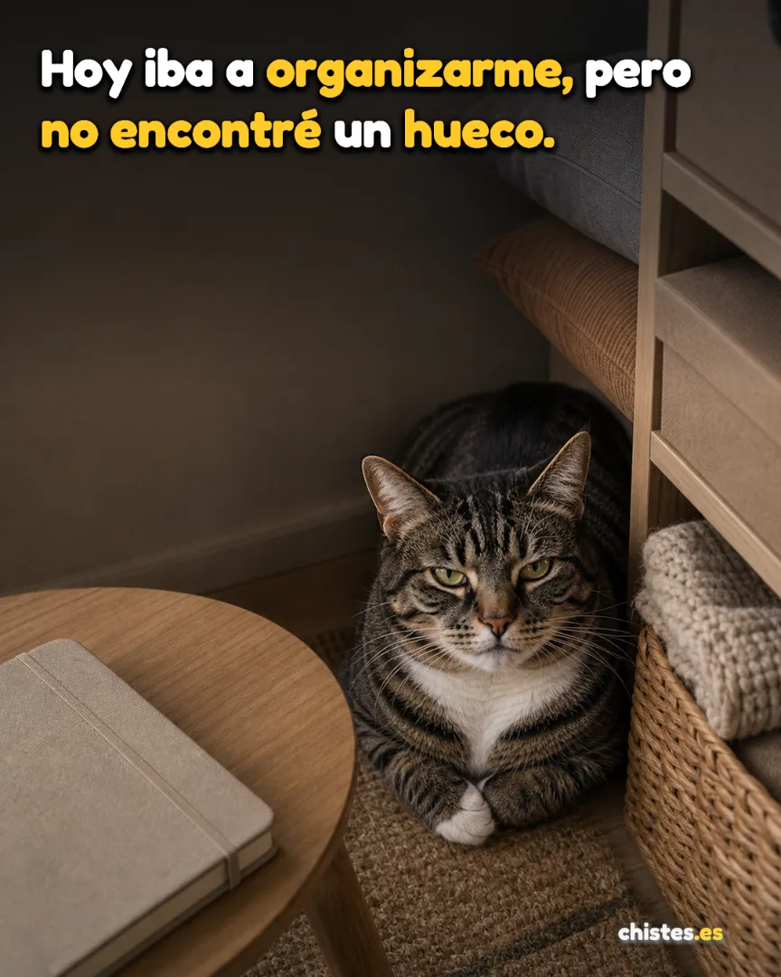 Hoy iba a organizarme, pero no encontré un hueco.