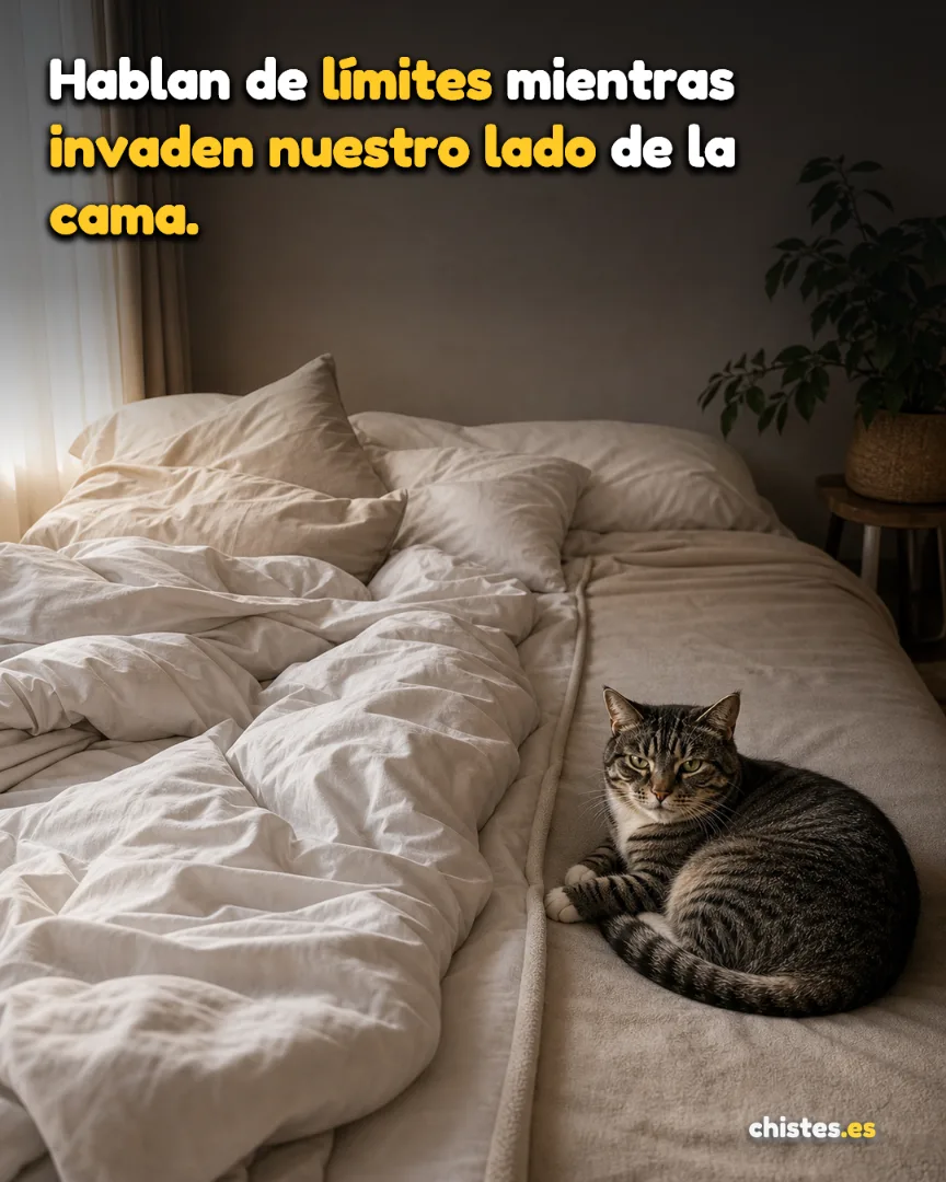 Hablan de límites mientras invaden nuestro lado de la cama.