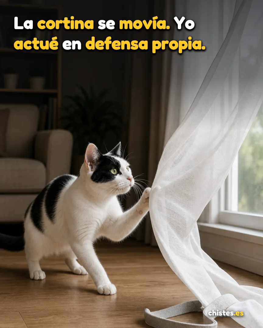 La cortina se movía. Yo actué en defensa propia.
