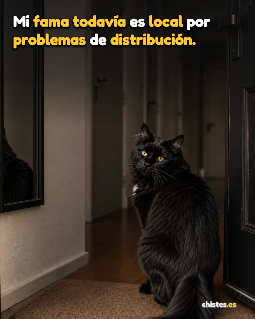 Mi fama todavía es local por problemas de distribución.