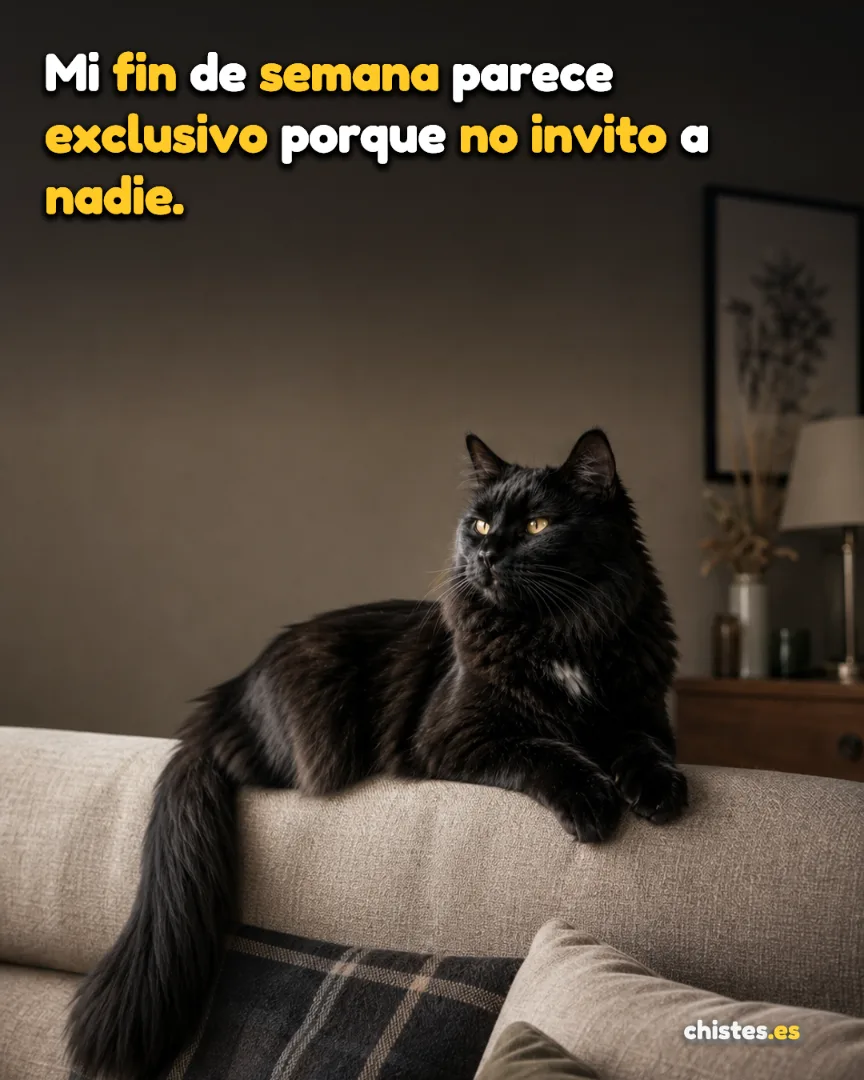Mi fin de semana parece exclusivo porque no invito a nadie.