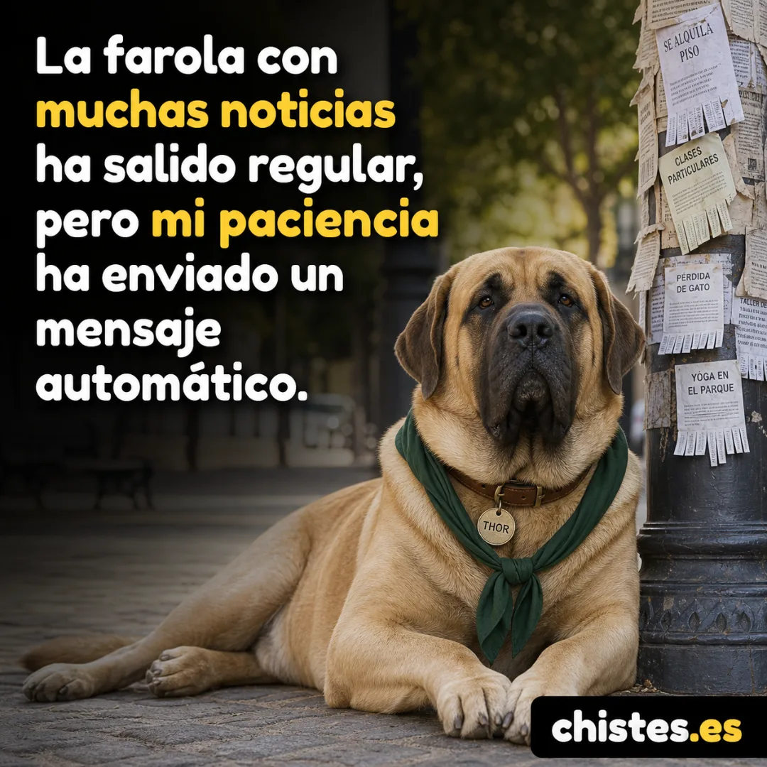 La farola con muchas noticias ha salido regular, pero mi paciencia ha enviado un mensaje automático.