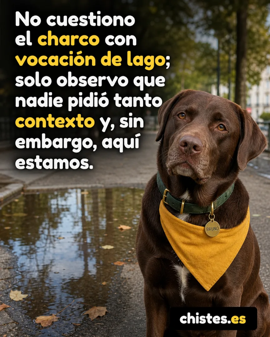 No cuestiono el charco con vocación de lago; solo observo que nadie pidió tanto contexto y, sin embargo, aquí estamos.