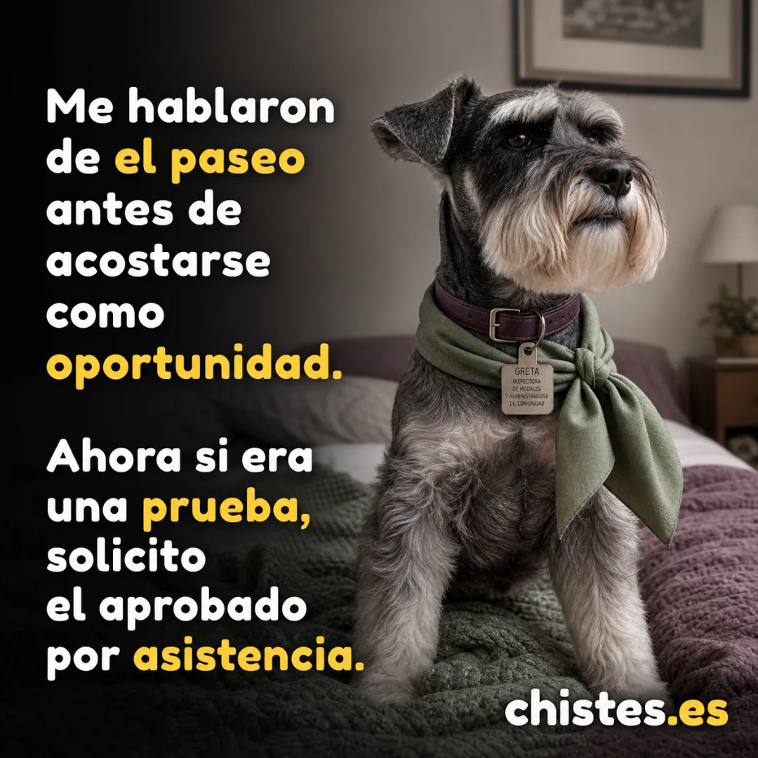 Me hablaron de el paseo antes de acostarse como oportunidad. Ahora si era una prueba, solicito el aprobado por asistencia.