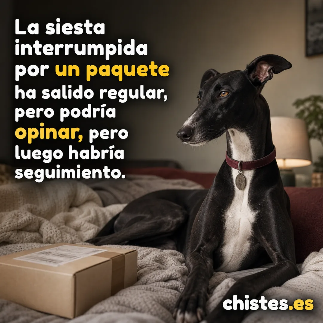 La siesta interrumpida por un paquete ha salido regular, pero podría opinar, pero luego habría seguimiento.