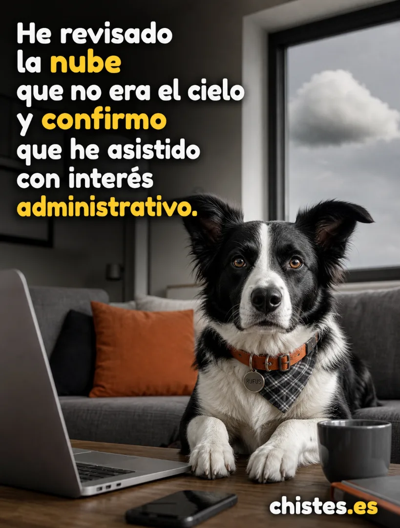 He revisado la nube que no era el cielo y confirmo que he asistido con interés administrativo.