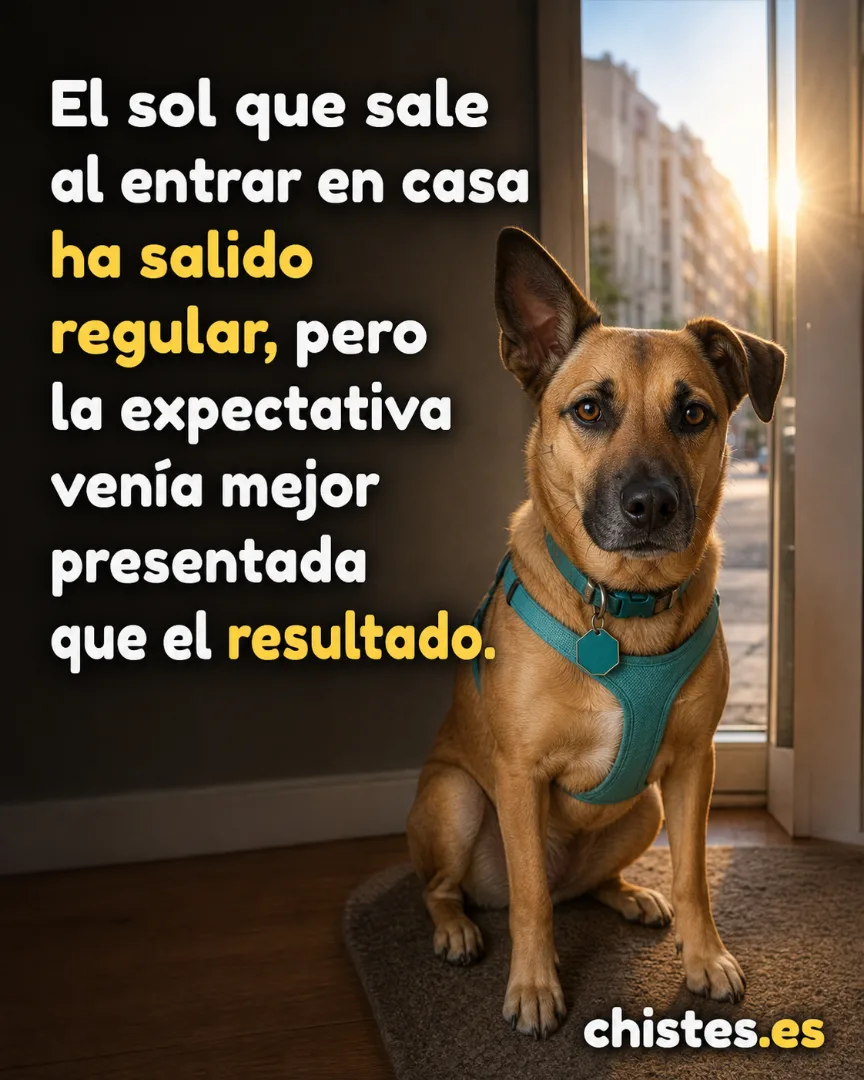 El sol que sale al entrar en casa ha salido regular, pero la expectativa venía mejor presentada que el resultado.