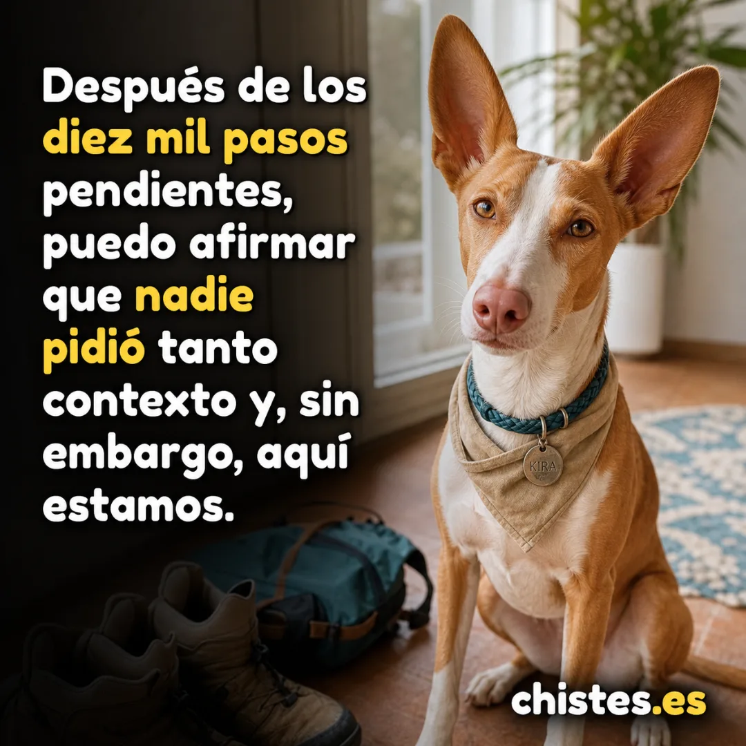 Después de los diez mil pasos pendientes, puedo afirmar que nadie pidió tanto contexto y, sin embargo, aquí estamos.