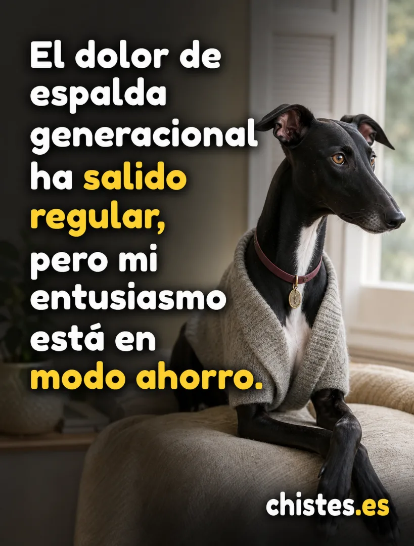 El dolor de espalda generacional ha salido regular, pero mi entusiasmo está en modo ahorro.