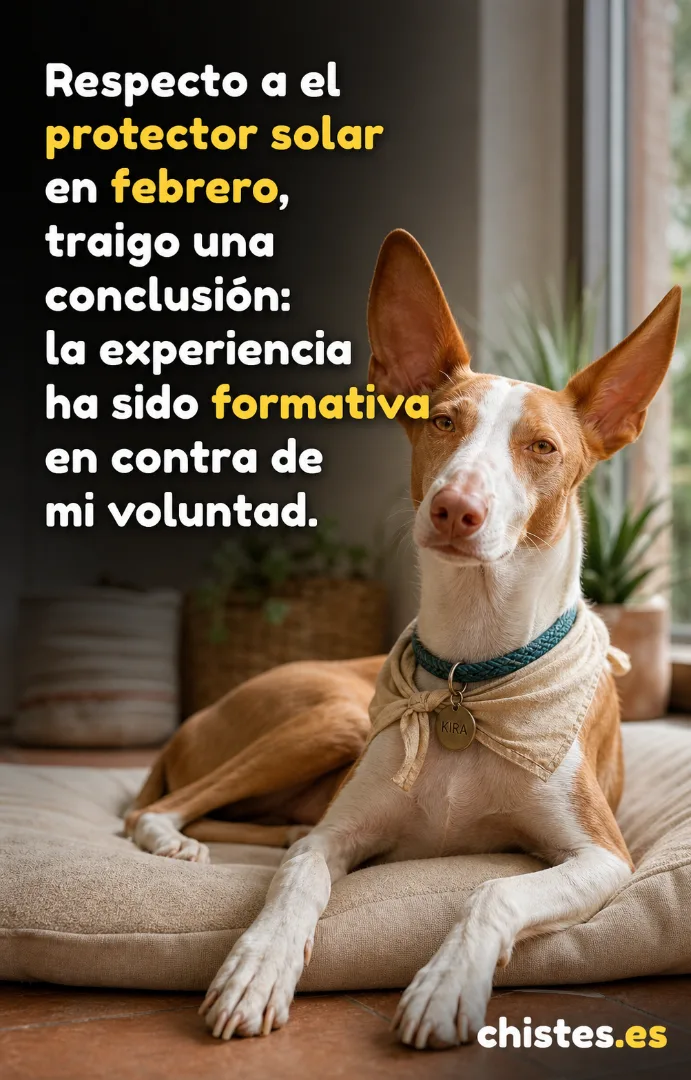 Respecto a el protector solar en febrero, traigo una conclusión: la experiencia ha sido formativa en contra de mi voluntad.