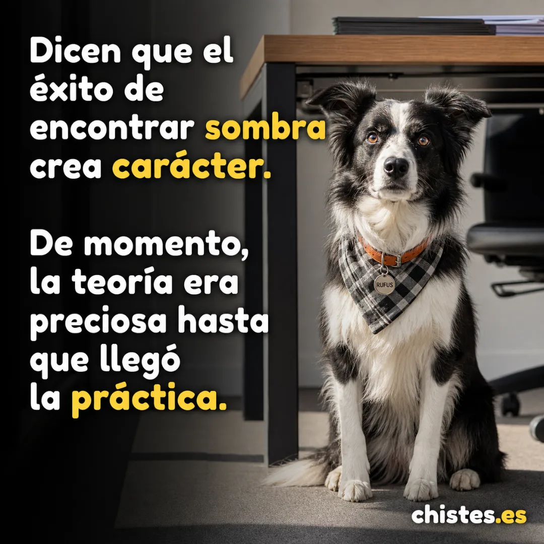 Dicen que el éxito de encontrar sombra crea carácter. De momento, la teoría era preciosa hasta que llegó la práctica.